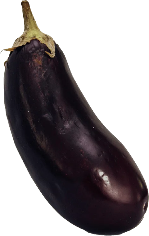 Un aubergine